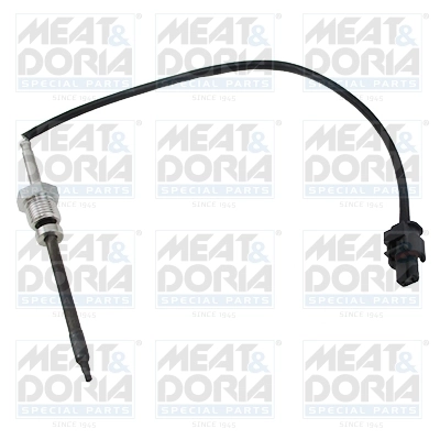 Sensor, exhaust gas temperature